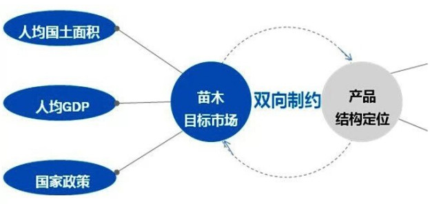 學(xué)習(xí)國(guó)外苗木行業(yè)經(jīng)驗(yàn)，搶先了解國(guó)內(nèi)市場(chǎng)動(dòng)態(tài)